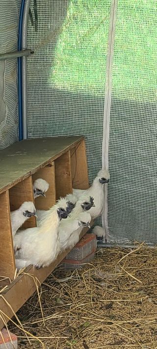 동현님의 자유주제 · 사진전 작성글 사진