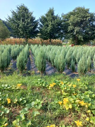 김재호님의 기타작물 · 자유게시판 작성글 사진