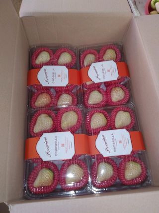 딸기 🍓 야놀자!님의 딸기 · 품종•종자 작성글 사진