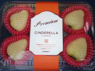 딸기 🍓 야놀자!님의 딸기 · 품종•종자 작성글 사진