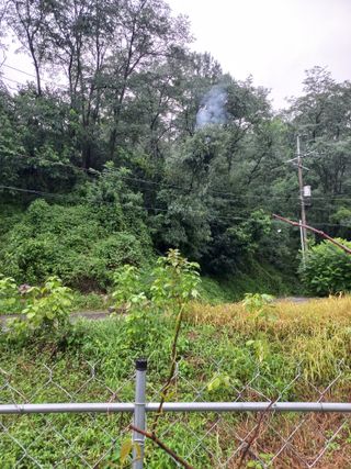 표고버섯18837님의 포도 · 자유게시판 작성글 사진