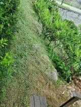 팜모닝 나의 농사 필수품 소개하기·참여글 게시글 이미지