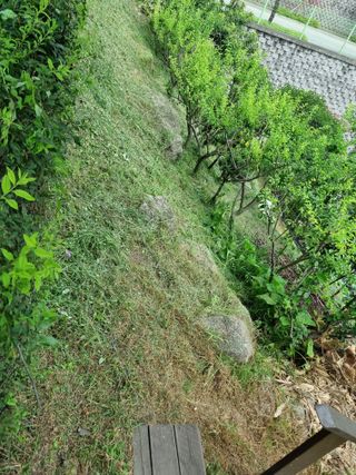 박병철님의 나의 농사 필수품 소개하기 · 참여글 작성글 사진