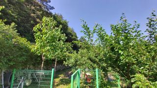 신준철님의 나의 농사 필수품 소개하기 · 참여글 작성글 사진