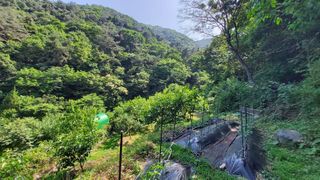 신준철님의 나의 농사 필수품 소개하기 · 참여글 작성글 사진