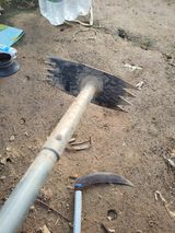 팜모닝 자유주제·자유게시판 게시글 이미지