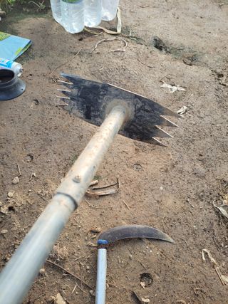 이만영님의 자유주제 · 자유게시판 작성글 사진