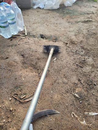 이만영님의 자유주제 · 자유게시판 작성글 사진