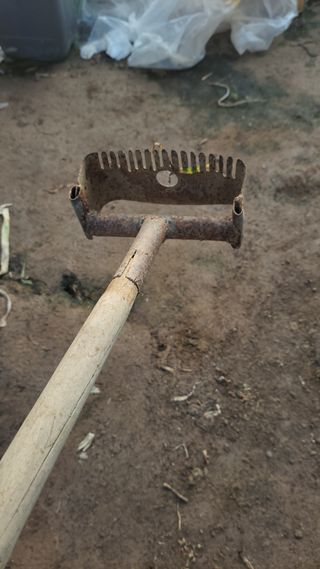이만영님의 자유주제 · 자유게시판 작성글 사진