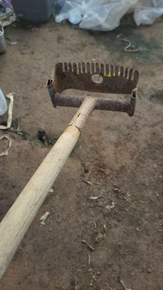 이만영님의 자유주제 · 자유게시판 작성글 사진