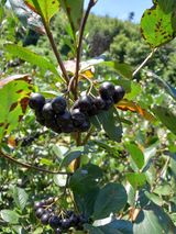 팜모닝 나의 농사 필수품 소개하기·참여글 게시글 이미지