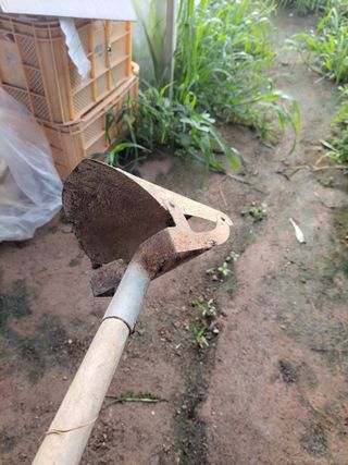 이만영님의 나의 농사 필수품 소개하기 · 참여글 작성글 사진