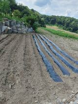 팜모닝 나의 농사 필수품 소개하기·참여글 게시글 이미지