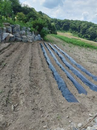 권여사님의 나의 농사 필수품 소개하기 · 참여글 작성글 사진