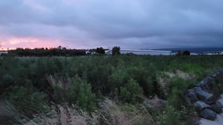 애월댁님의 양파 · 병해충상담 작성글 사진