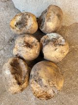 팜모닝 감자·병해충상담 게시글 이미지