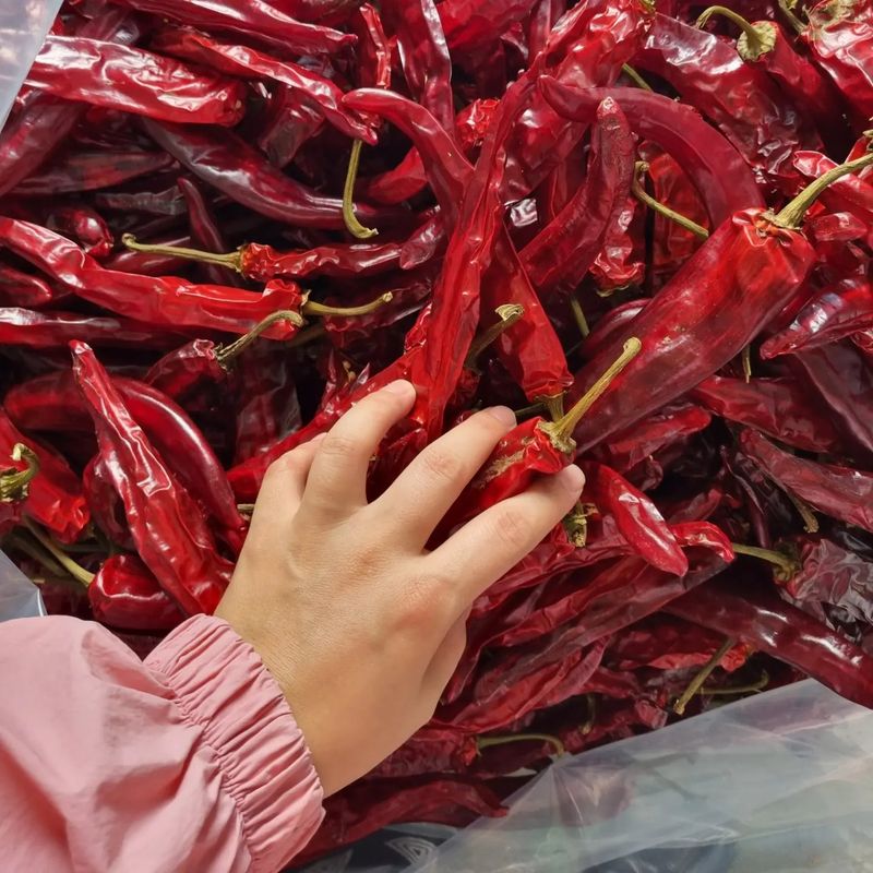 장터 상품 [건고추] 썸네일