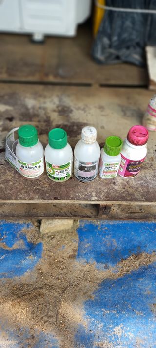 김성열님의 고추 · 영농일지 작성글 사진