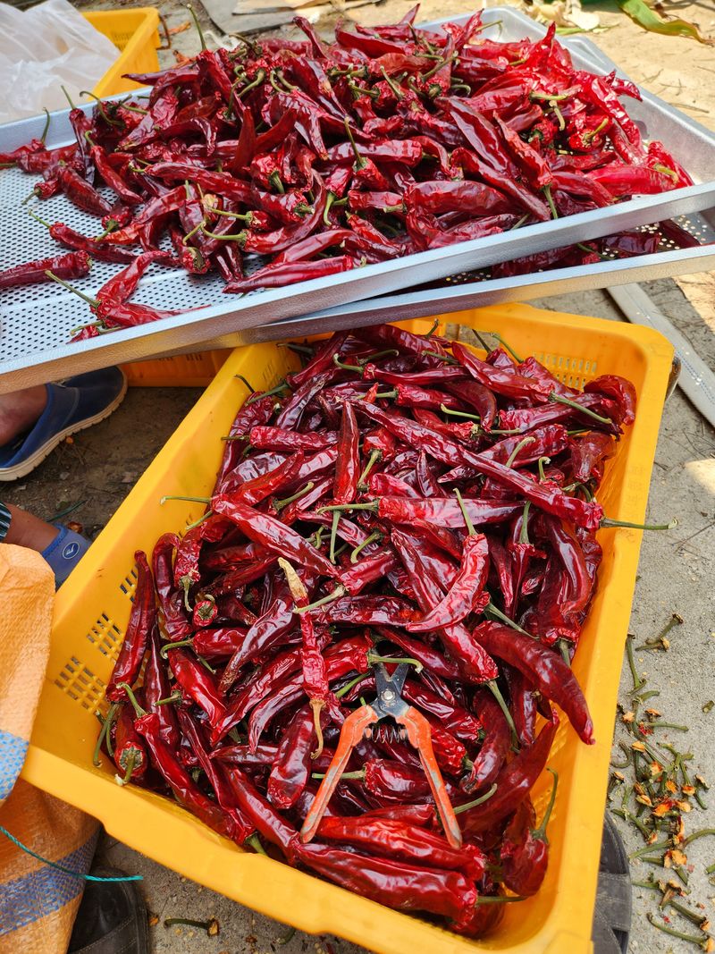 장터 상품 [고춧가루 ] 썸네일