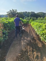 팜모닝 콩·영농일지 게시글 이미지