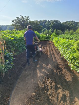 아리랑님의 콩 · 영농일지 작성글 사진