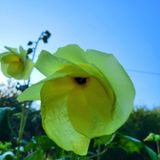 팜모닝 기타작물·자유게시판 게시글 이미지