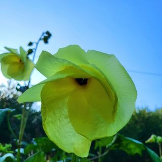 이형록님의 기타작물 · 자유게시판 작성글 사진