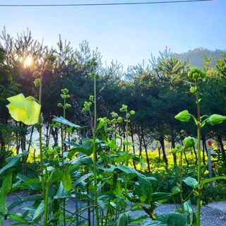 이형록님의 기타작물 · 자유게시판 작성글 사진