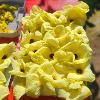 이형록님의 기타작물 · 자유게시판 작성글 사진