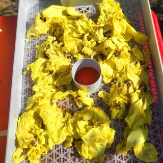 이형록님의 기타작물 · 자유게시판 작성글 사진