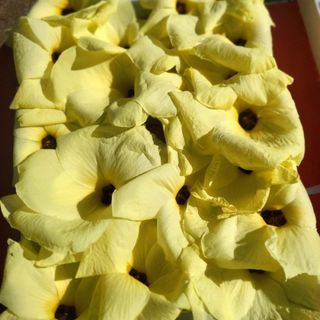 이형록님의 기타작물 · 자유게시판 작성글 사진