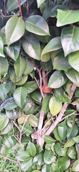 팜모닝 자유주제·자유게시판 게시글 이미지