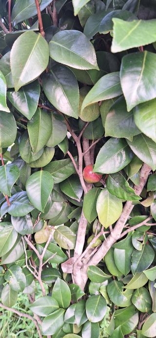 김정남님의 자유주제 · 자유게시판 작성글 사진