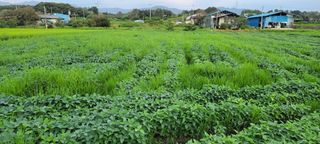 김중언님의 자유주제 · 건의해요 작성글 사진