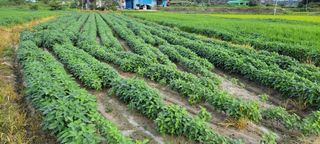 김중언님의 자유주제 · 건의해요 작성글 사진