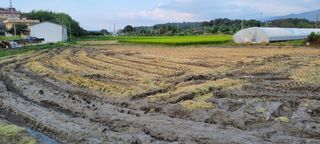 김중언님의 자유주제 · 건의해요 작성글 사진