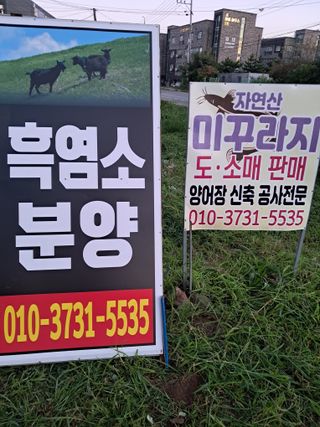 김석현님의 자유주제 · 자유게시판 작성글 사진