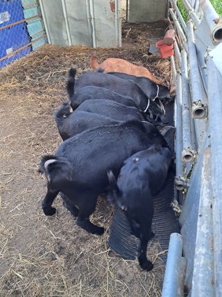 김석현님의 작성글 사진