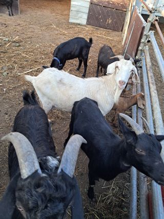 김석현님의 작성글 사진