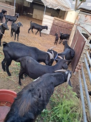 김석현님의 작성글 사진