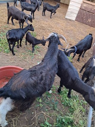 김석현님의 작성글 사진