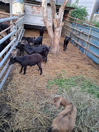 김석현님의 작성글 사진