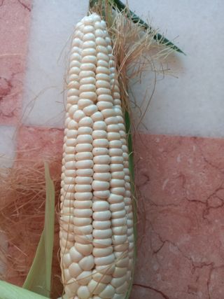 둥이 맘님의 작성글 사진