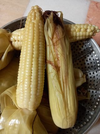 둥이 맘님의 작성글 사진