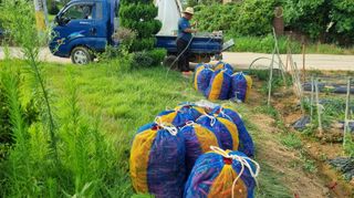 전순덕.동신유통님의 고추 · 비료•농약 작성글 사진