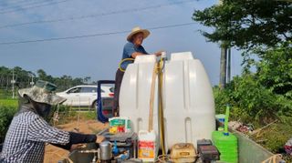 전순덕.동신유통님의 고추 · 비료•농약 작성글 사진