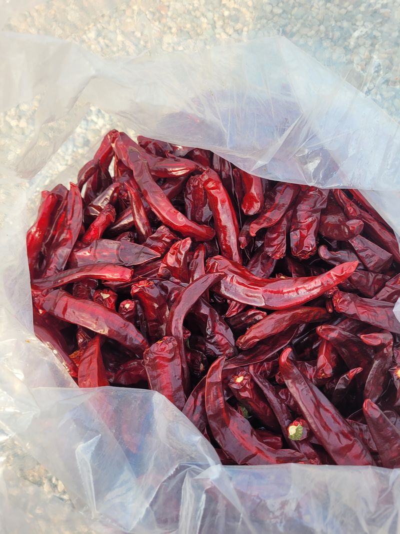 장터 상품 [건고추, 고추가루 ] 썸네일