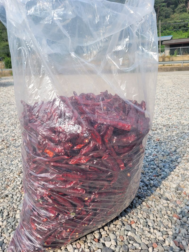 한경희 님의 장터 판매 상품 [건고추, 고추가루 ] 첨부 사진