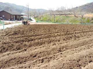 최철규님의 나의 농사 필수품 소개하기 · 참여글 작성글 사진