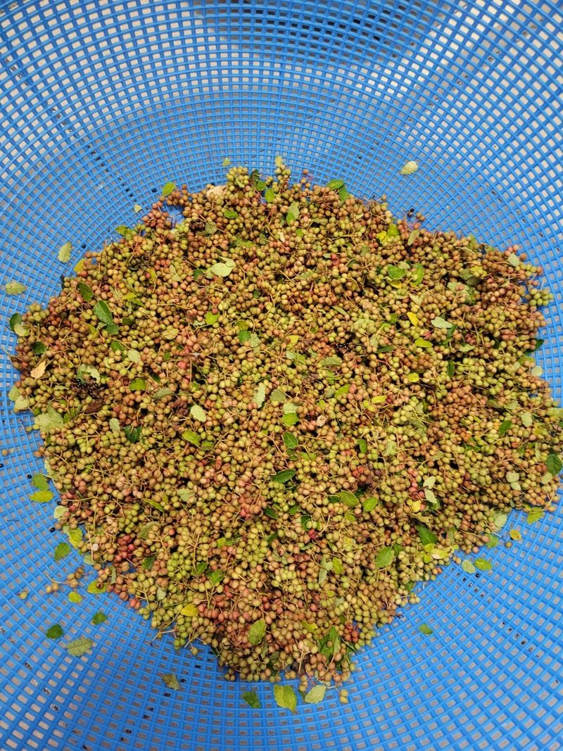 장터 상품 [초피5k] 썸네일